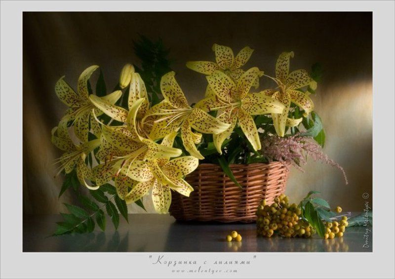 цветы лилии  букет натюрморт still life Корзинка с лилиямиphoto preview