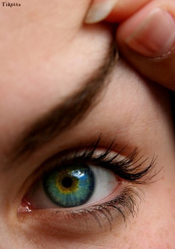 глаз, валя Look out!photo preview