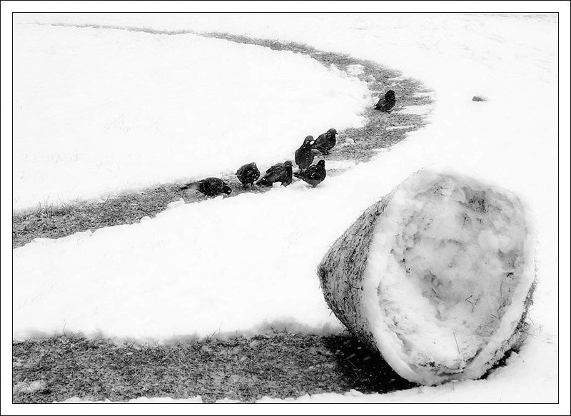 Весне дорогу...photo preview