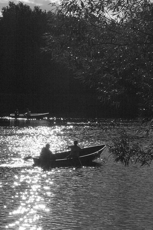 силуэты знойный выходнойphoto preview