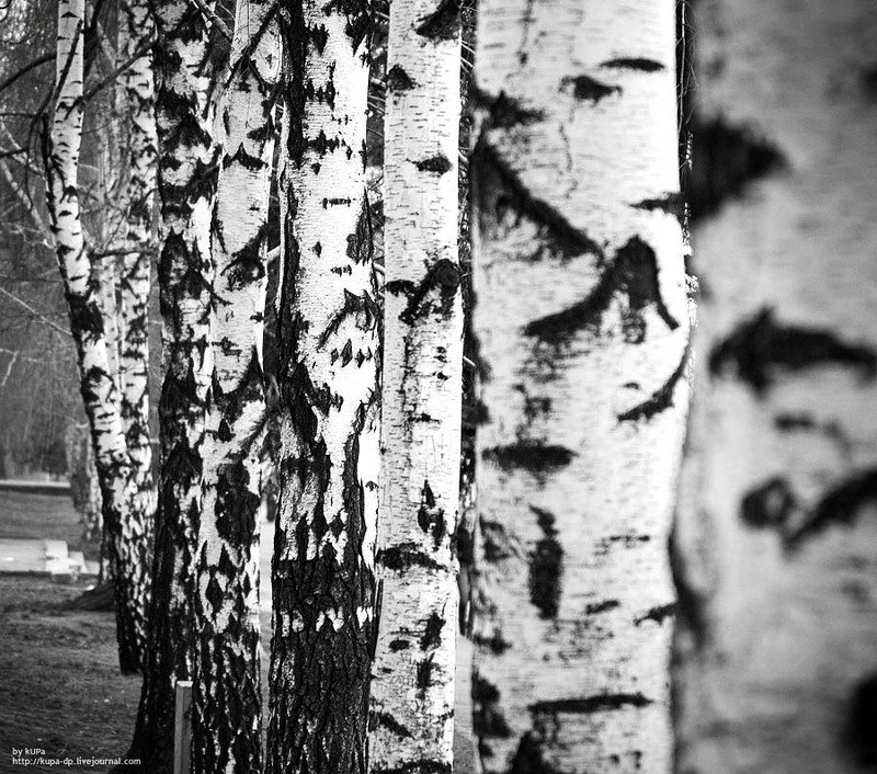 закат, город, небо photo preview