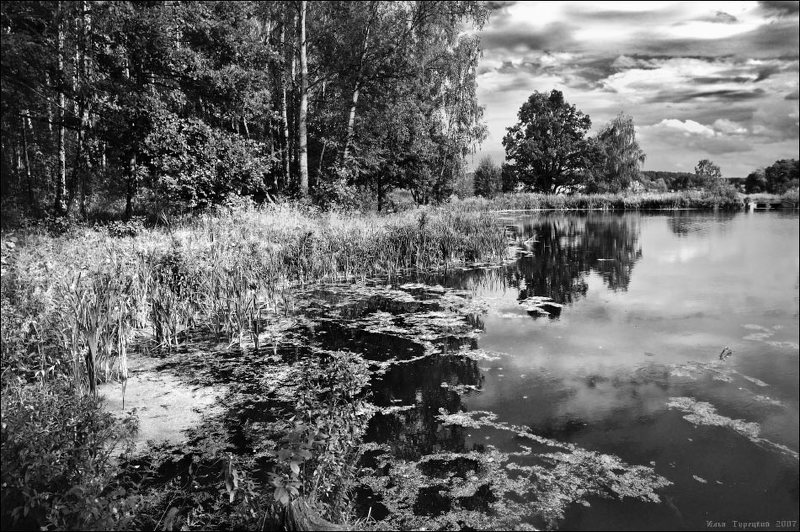 июль, пруд Июльская прудоваяphoto preview