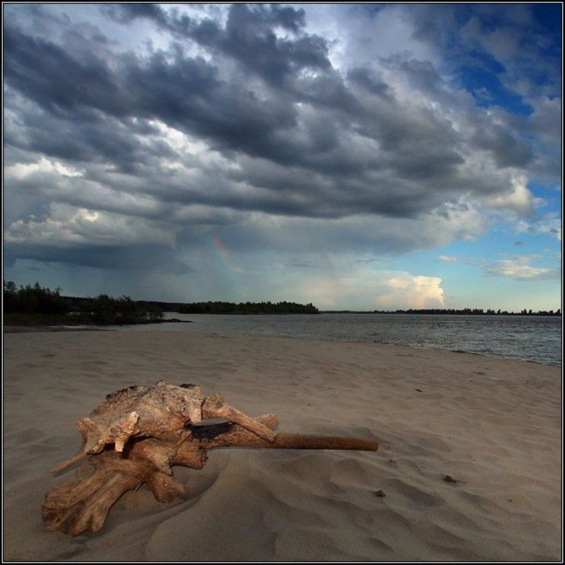 нсо, вечер, песок, радуга, туча, коряга, река, обь, бибиха, аня графова Вечерняяphoto preview