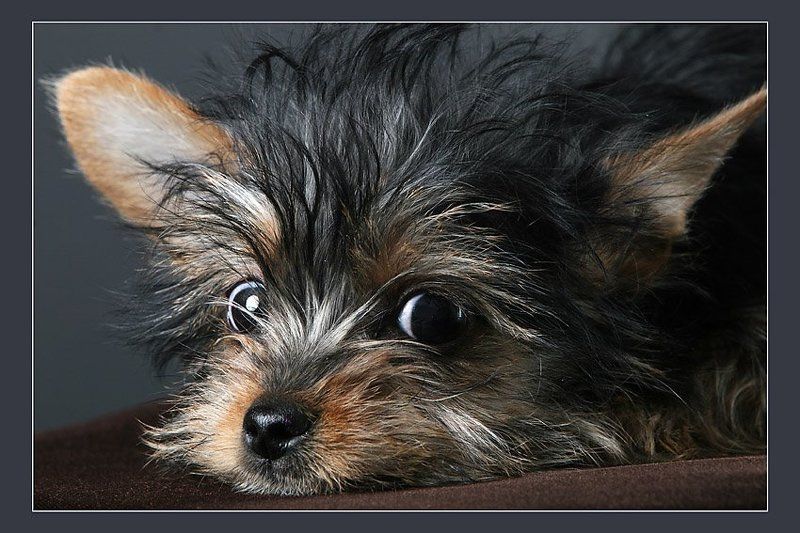 Налетела грусть фото превью