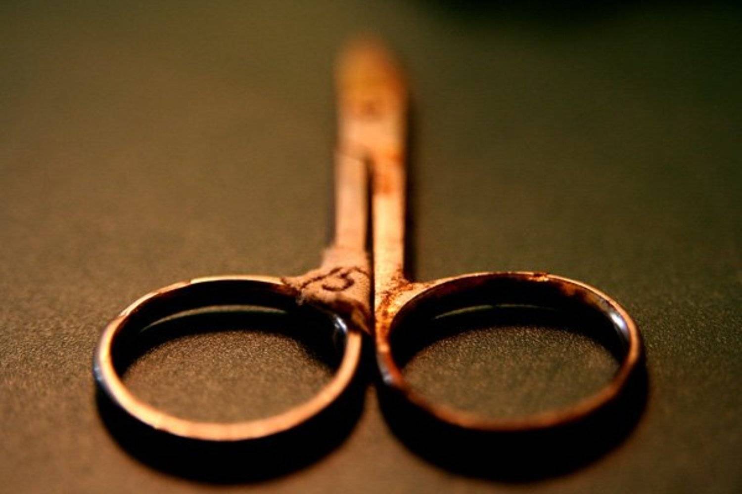 15. Автор: Tikotta , Tikotta