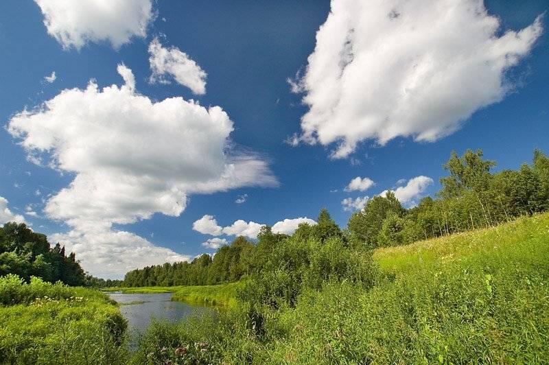 сясь,облака,лес,небо, Евгений Пугачев.