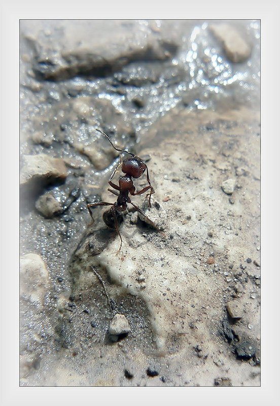 обзорphoto preview