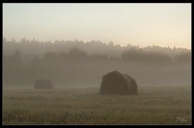 утро, сено, солома, рассвет, тюки Утро - как утрОphoto preview