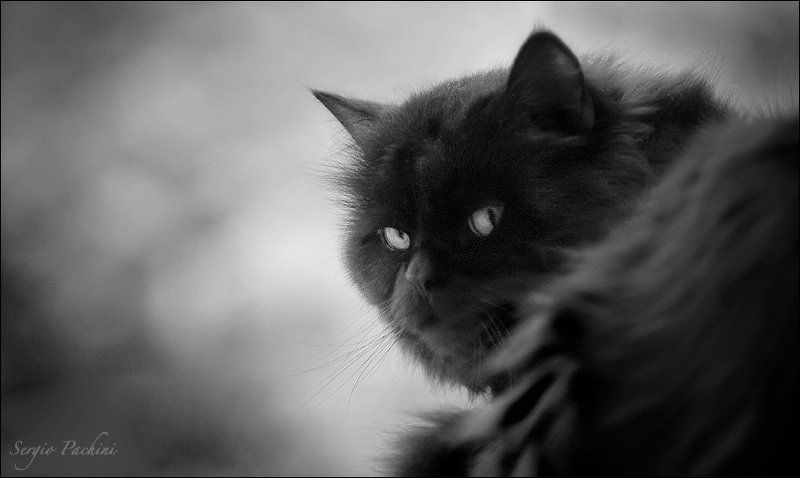 Кузьмаphoto preview