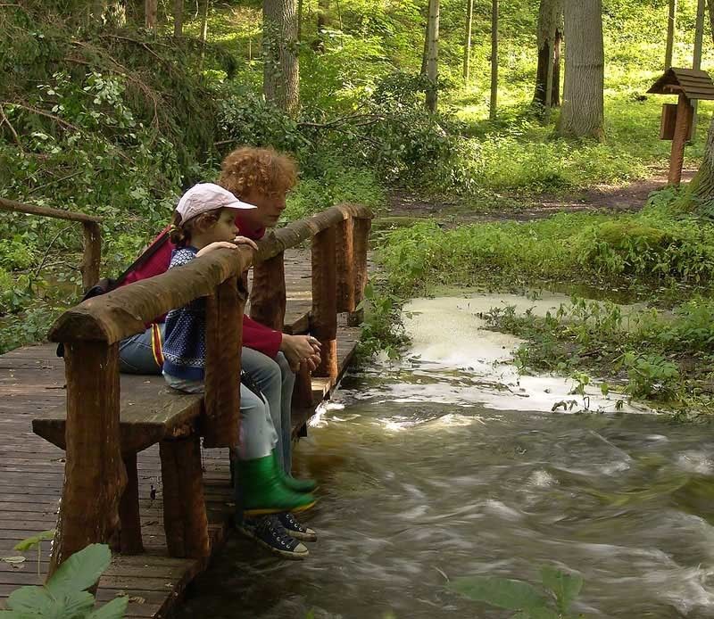 В тени деревьев вековых мечтает каждый о своем...photo preview