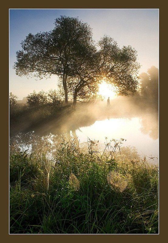 Утро туманное... фото превью