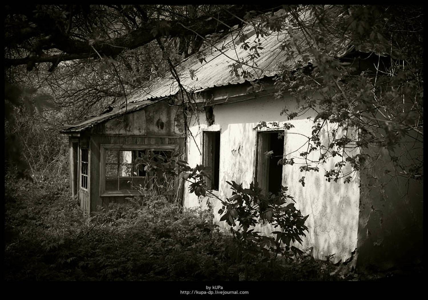 дом природа дача, kUPa