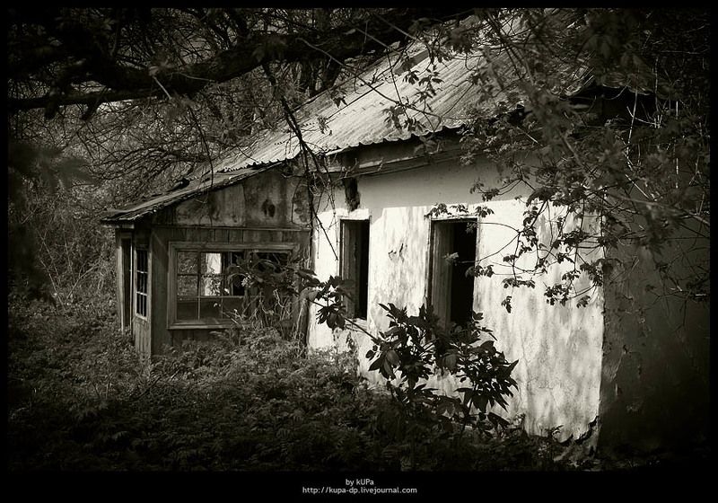 дом природа дача Заброшенный домphoto preview