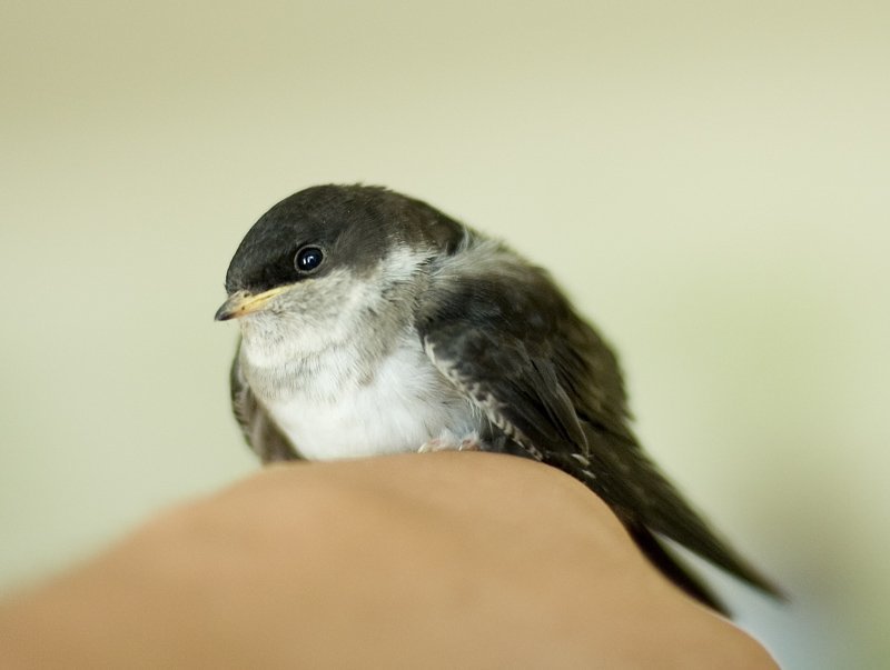 слеток Слеток.photo preview