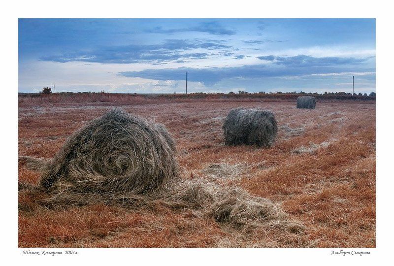 сибирь, томск, коларово, июль, 2007г. На полях...photo preview