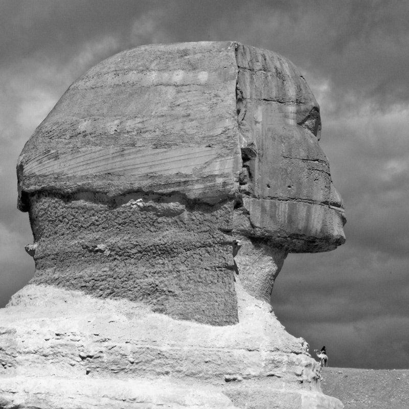 египет, сфинкс, верблюд большой и маленькийphoto preview