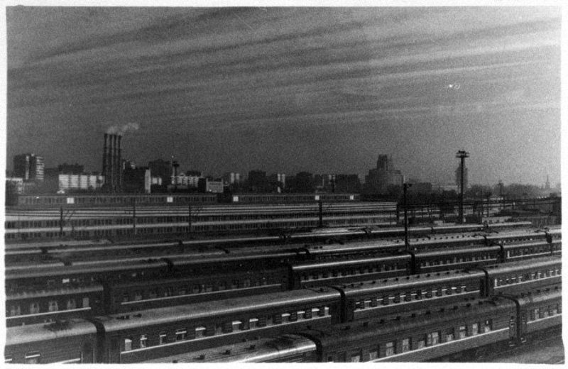 плёнка, зерно, чб Other stripsphoto preview