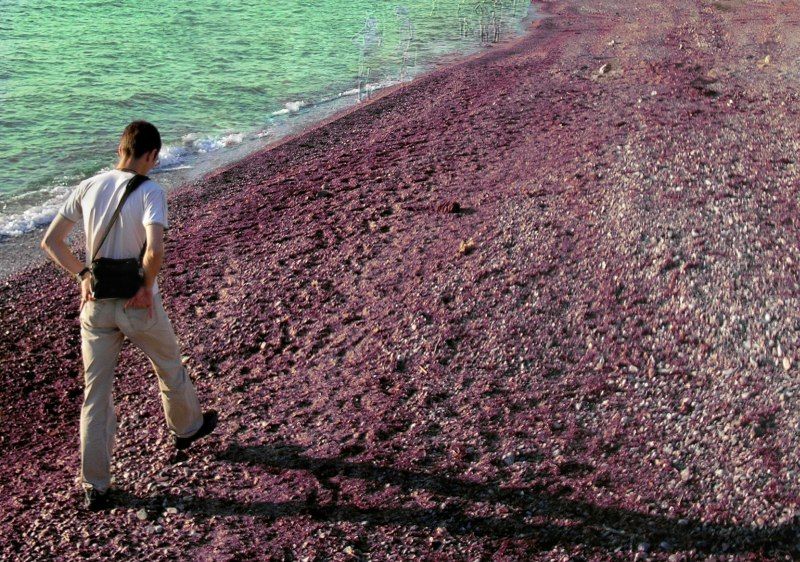 море,коллаж,человек,шаг,тень Только впередphoto preview