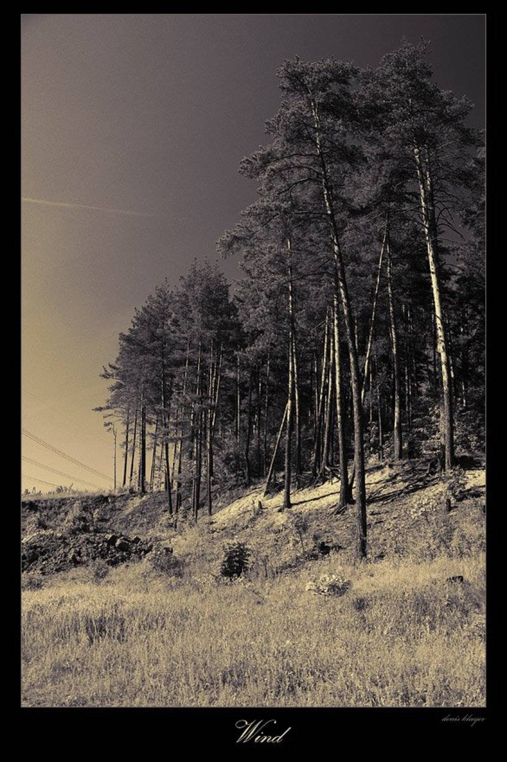 Ветер. Автор: Денис Клюев , Денис Клюев