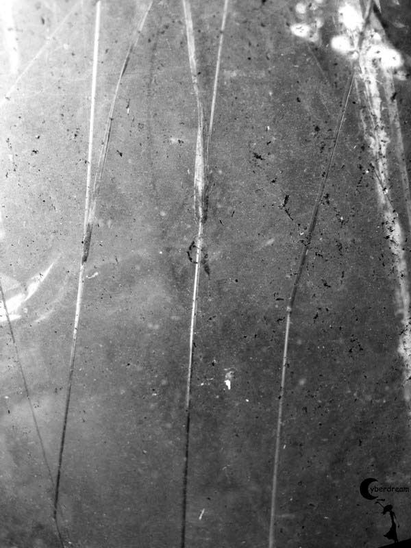 Лето, которого не было. Сплетать стебли.photo preview