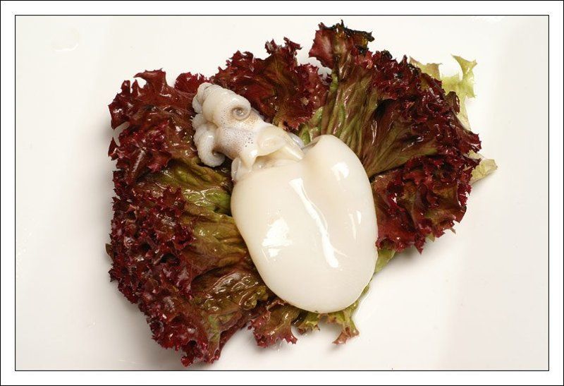 каракатица,морепродукт,натюрморт,салат,лед Каракатица на листе салатаphoto preview