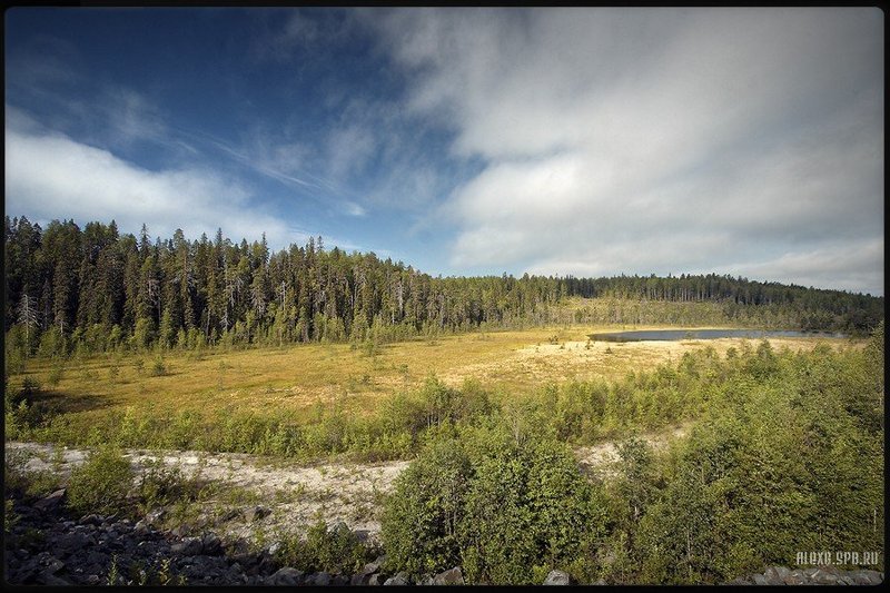 #02 фото превью