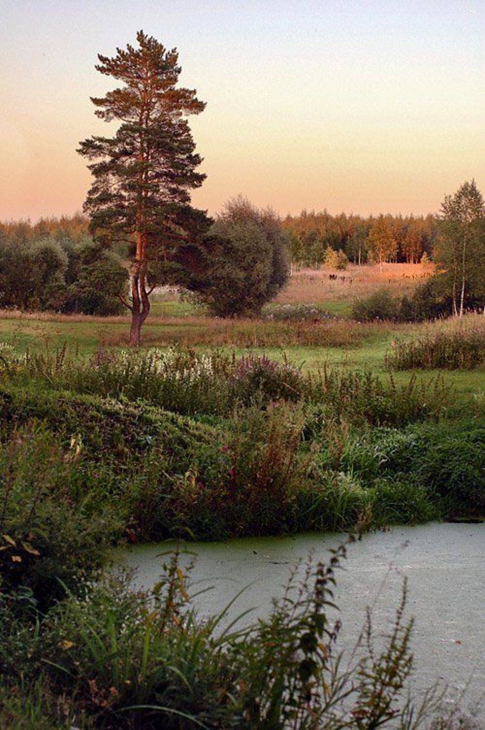 , Александр ЛАВРОВ