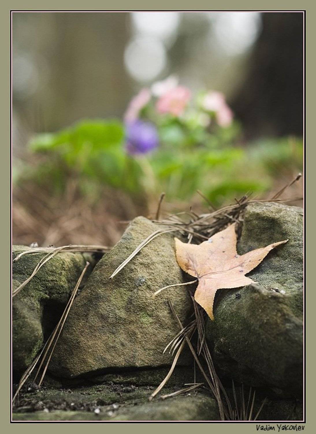 А там за скалами жизнь.... Автор: VDM листок, VDM