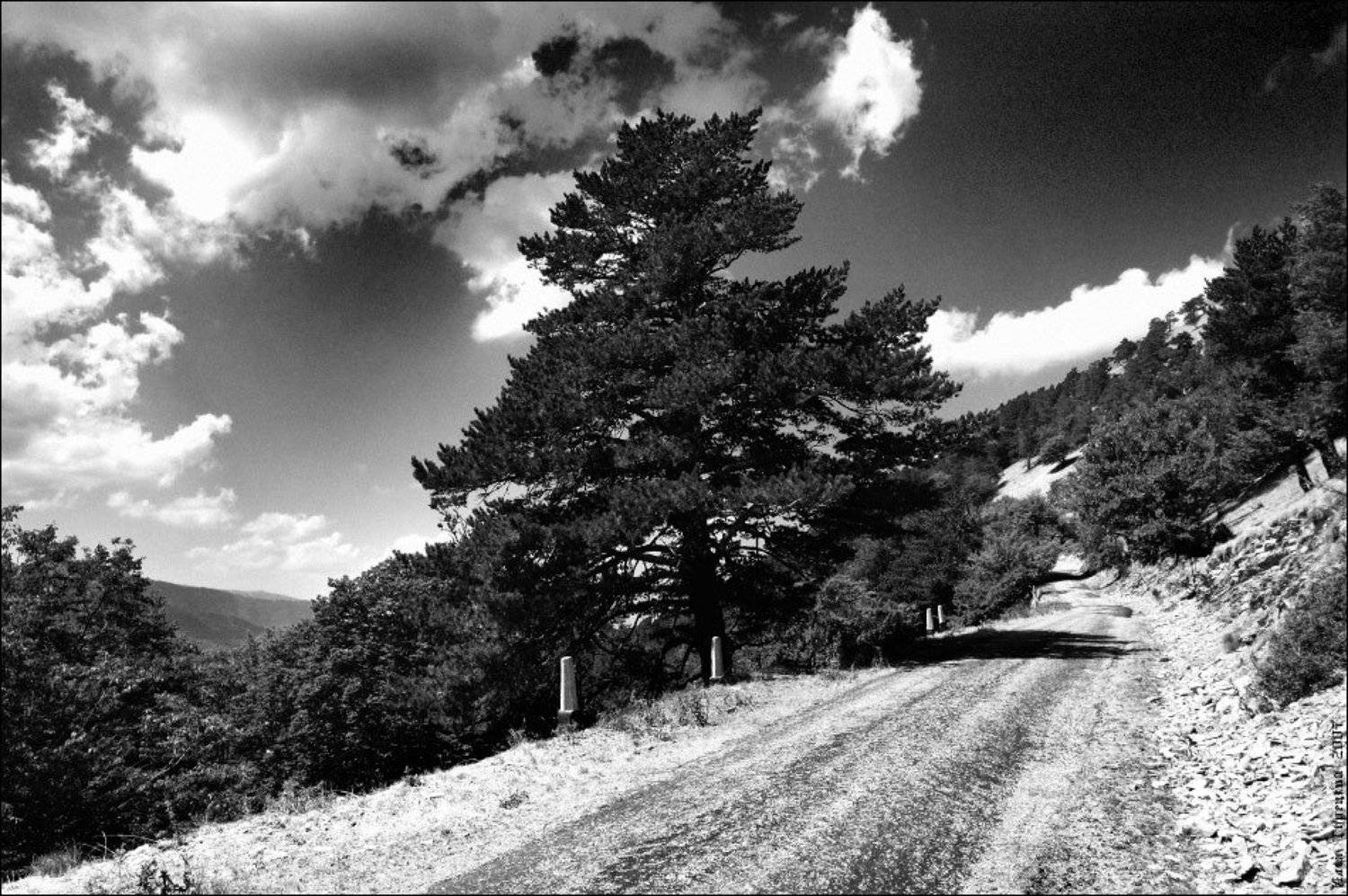 Романовская дорога. Автор: Илья Турецкий романовская, дорога, Илья Турецкий