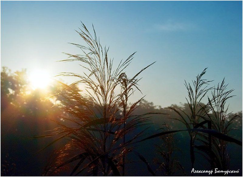 Проникновение фото превью