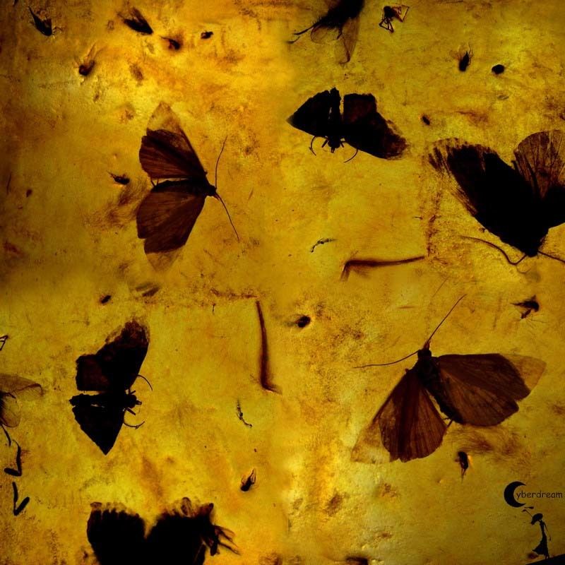 Поверить светуphoto preview