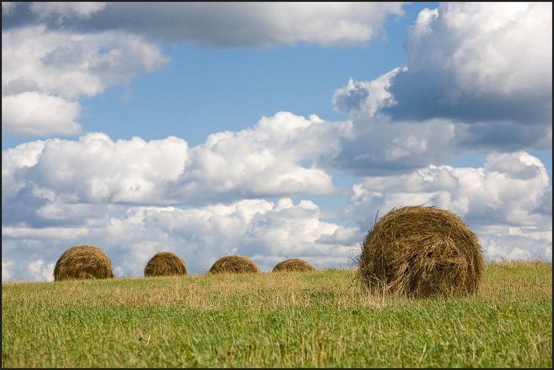 старая ладога, сено, photo preview