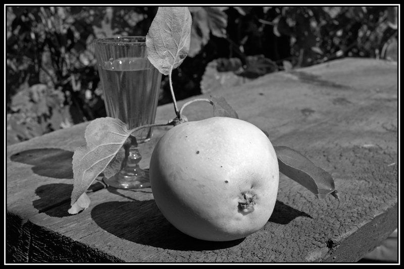 натюрморт, яблоко Этюд с яблокомphoto preview