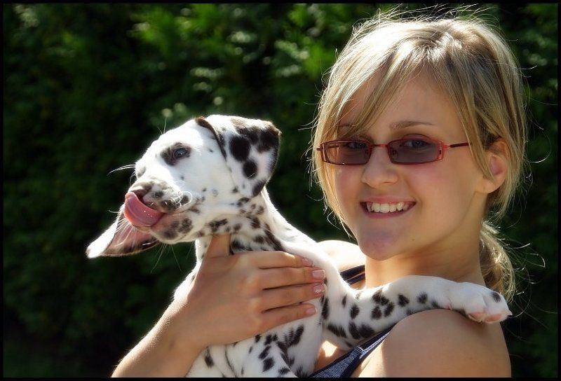 лиза, araghorn, щенки Растём!photo preview