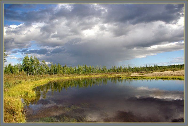 река,тайга,гроза Перед грозойphoto preview