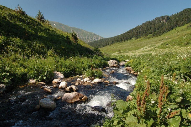 горы, краснодарский край, адыгея, речка ци-ца, пейзаж, река, закат, пороги, трава В качестве ностальгии по горамphoto preview