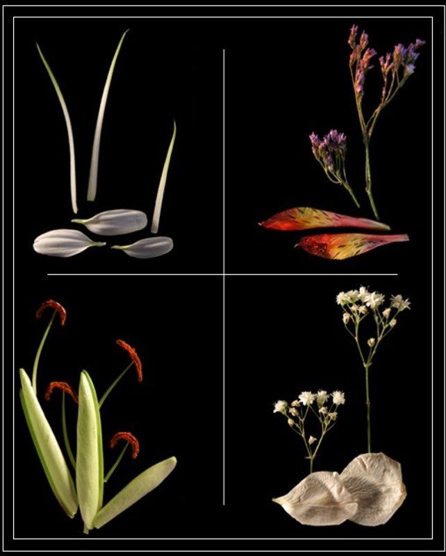 времена года seasonsphoto preview