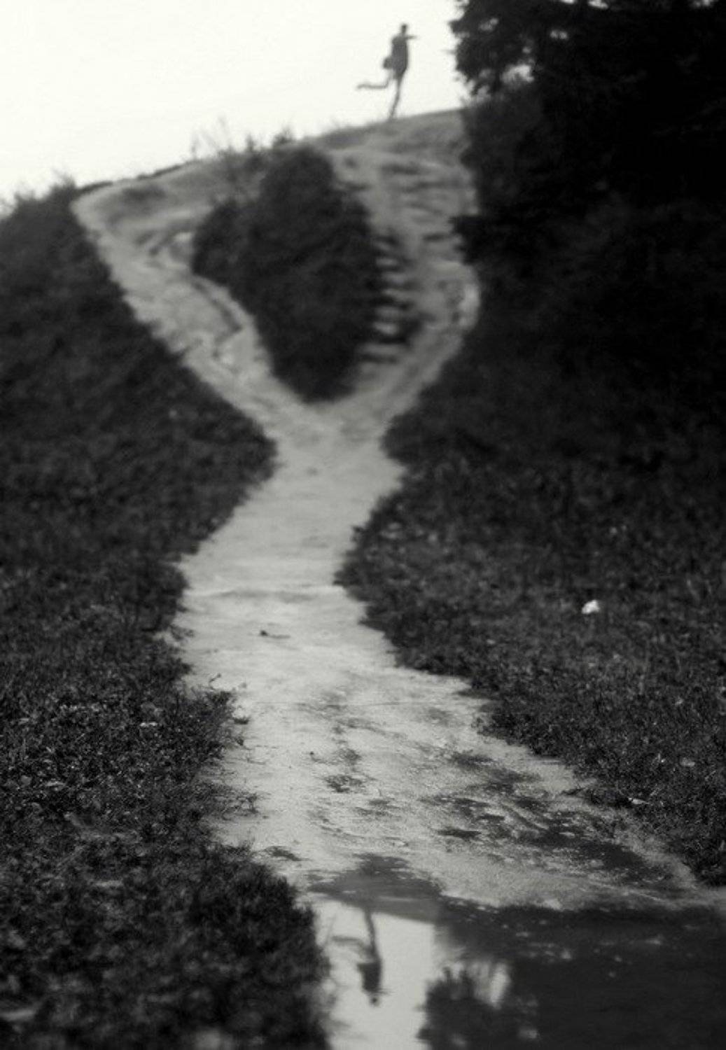 про человека который всегда хотел летать, Kassiopey