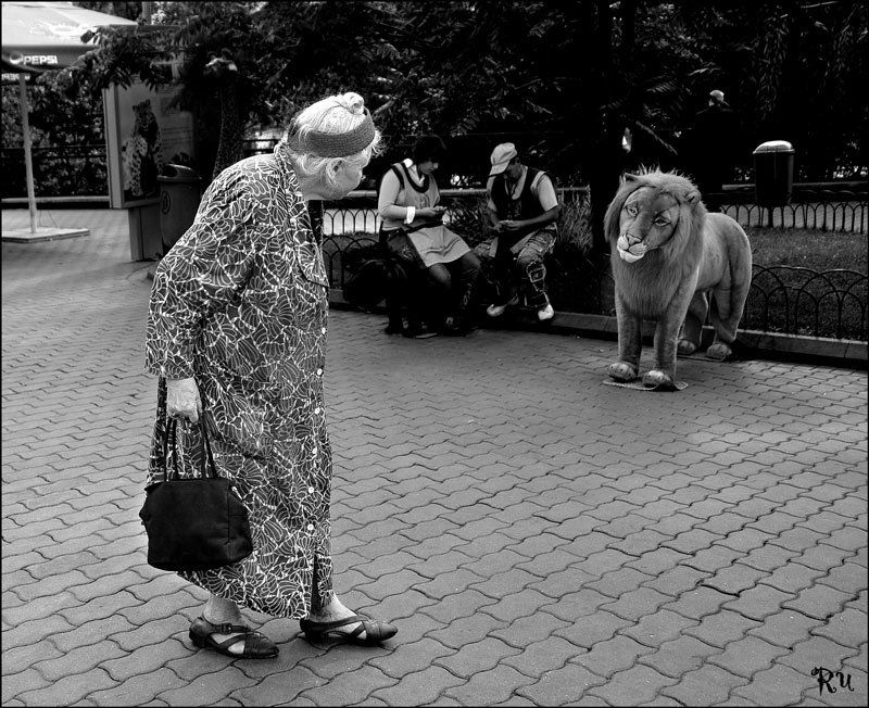 Изменаphoto preview