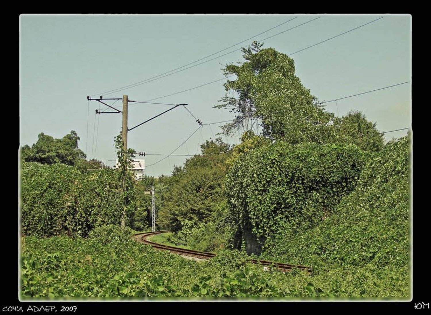 Adler-2007. Автор: Юм ж/д, Юм