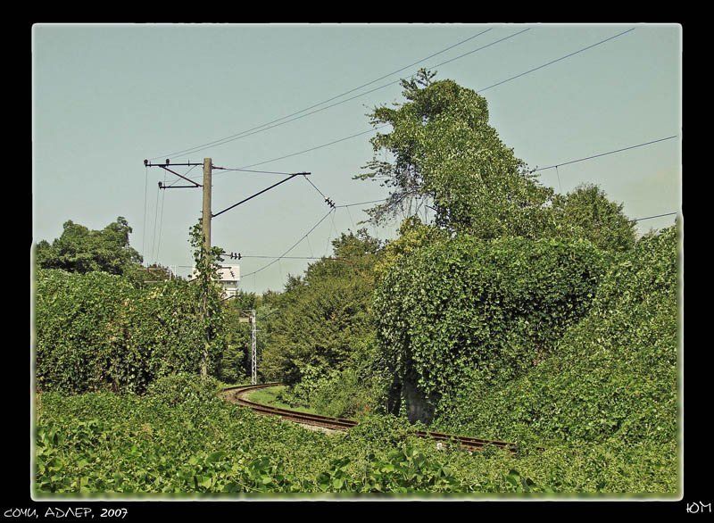 ж/д Adler-2007photo preview