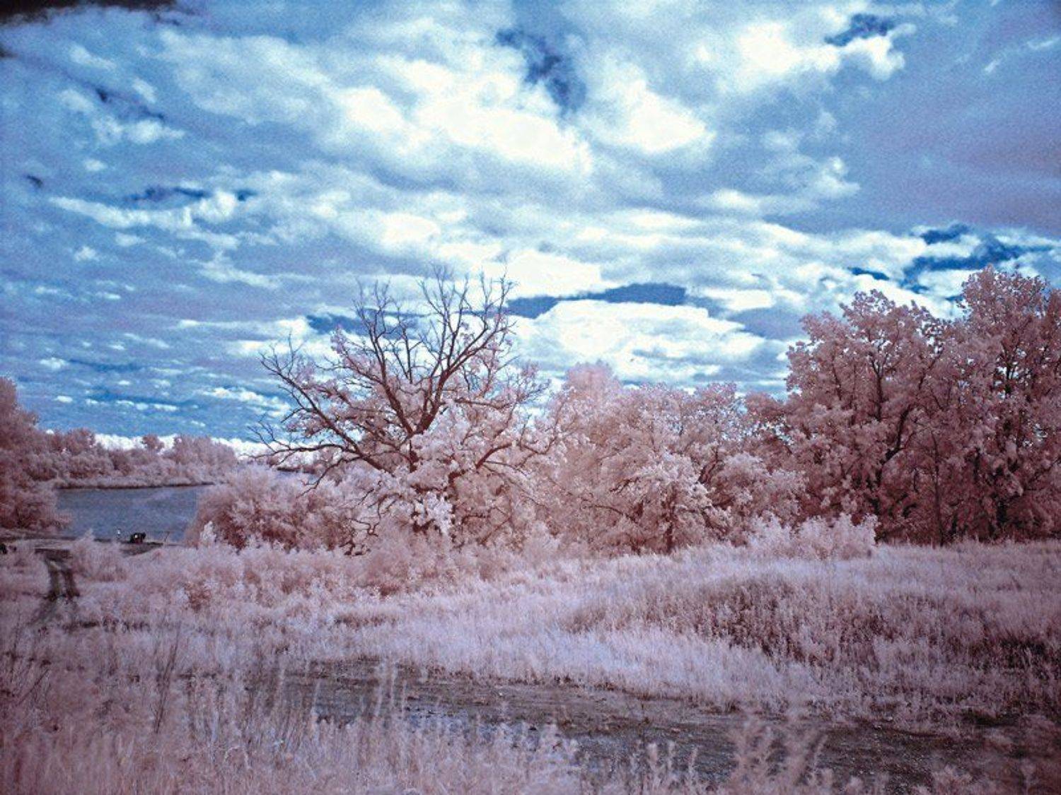 пейзаж, инфракрасный, Патрикеев Александр