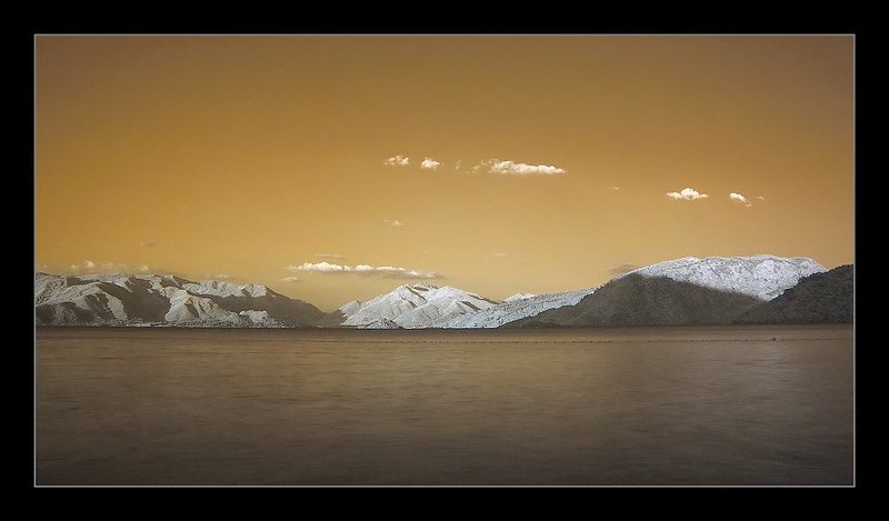 infrared, ик, инфра ***photo preview