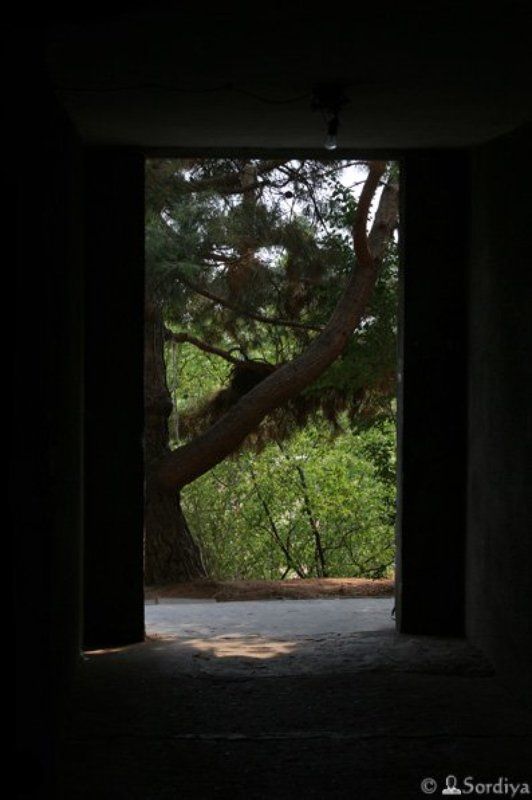 философская photo preview