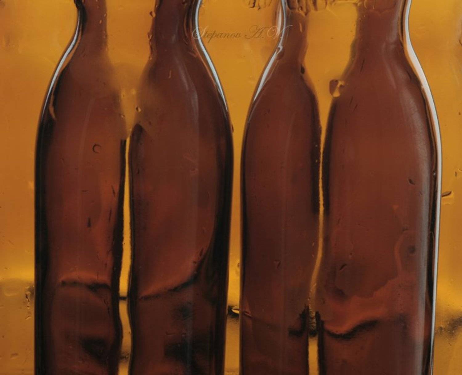 женщины бутылки, Александр Степанов