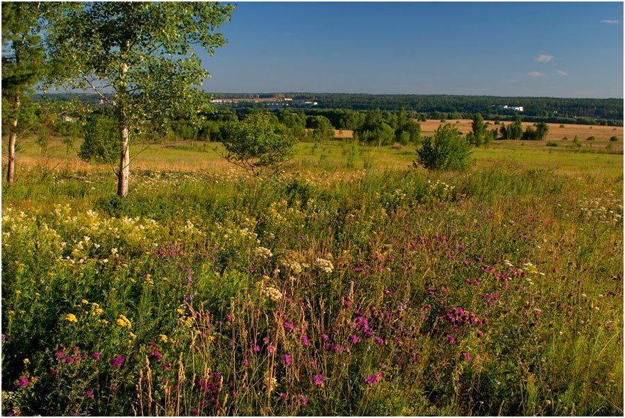 Доброе утро. Автор: Тоша , Тоша