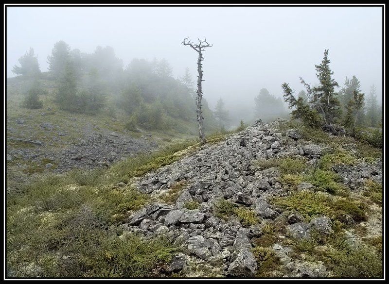 горы , туман Дорога в тумане фото превью