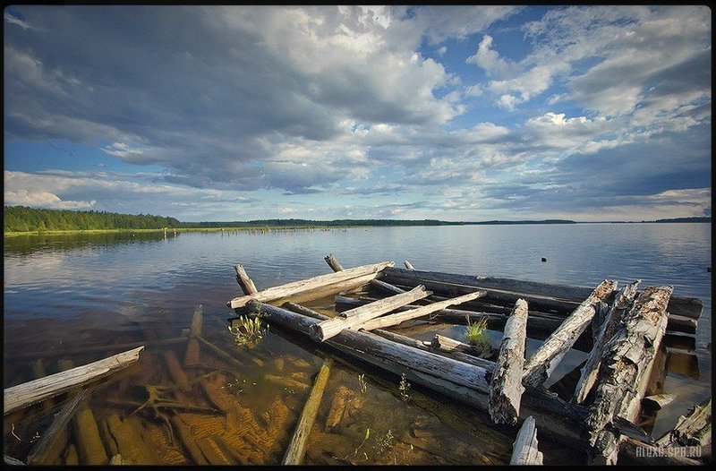 #06 фото превью