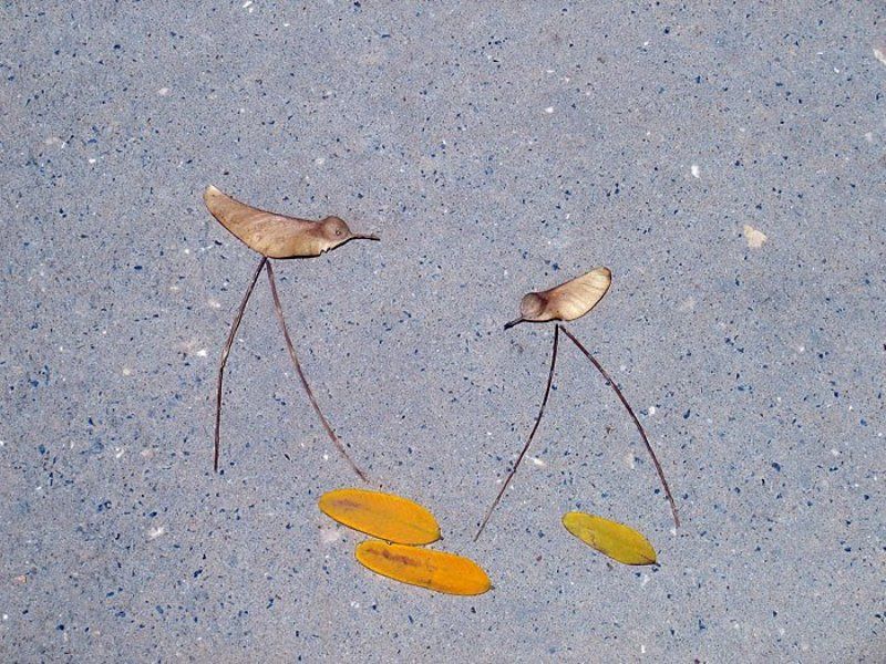 минимализмphoto preview