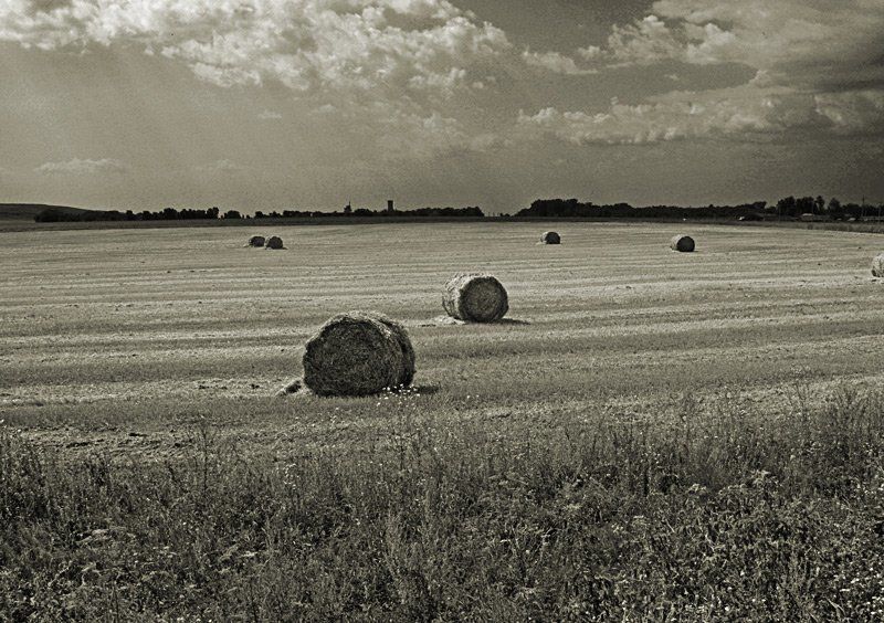 пейзаж Уборочнаяphoto preview